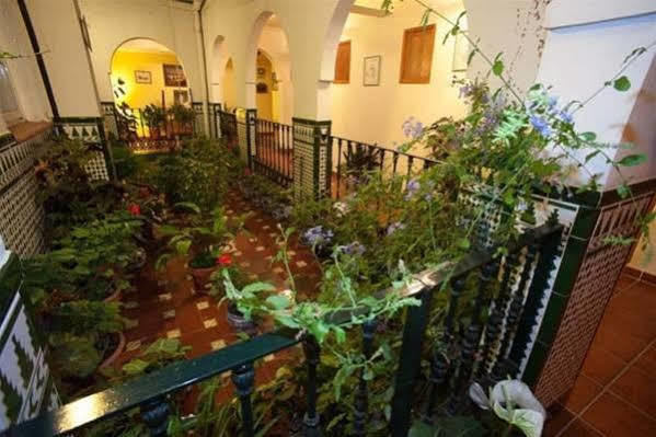 San Juan 2*